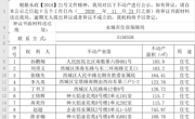 关于孙鹏翔、刘须义、张晓先等人不动产的公示