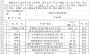 关于丁山、蒋雨蒙、龙腾世纪花园等不动产的公示