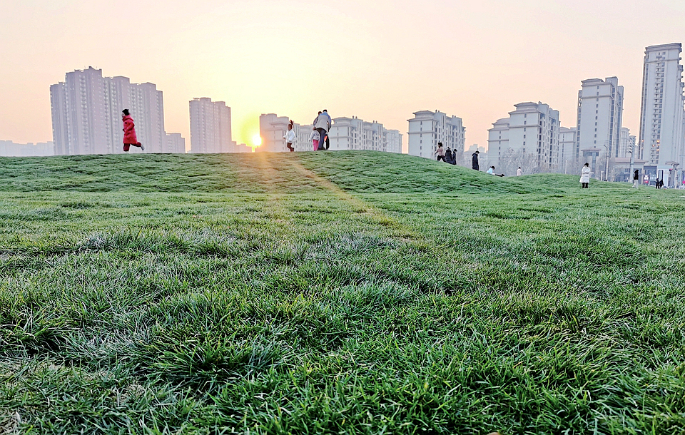 市民在草坪上游玩