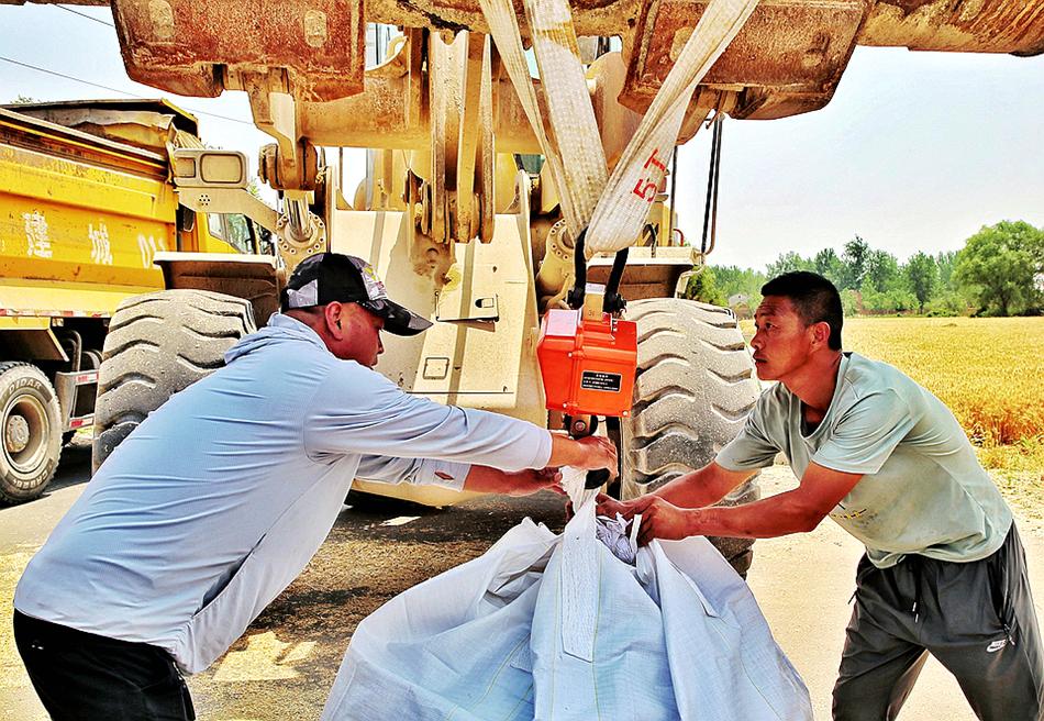 高庄镇葛店村高标准农田示范区核心区项目小麦称重测产。